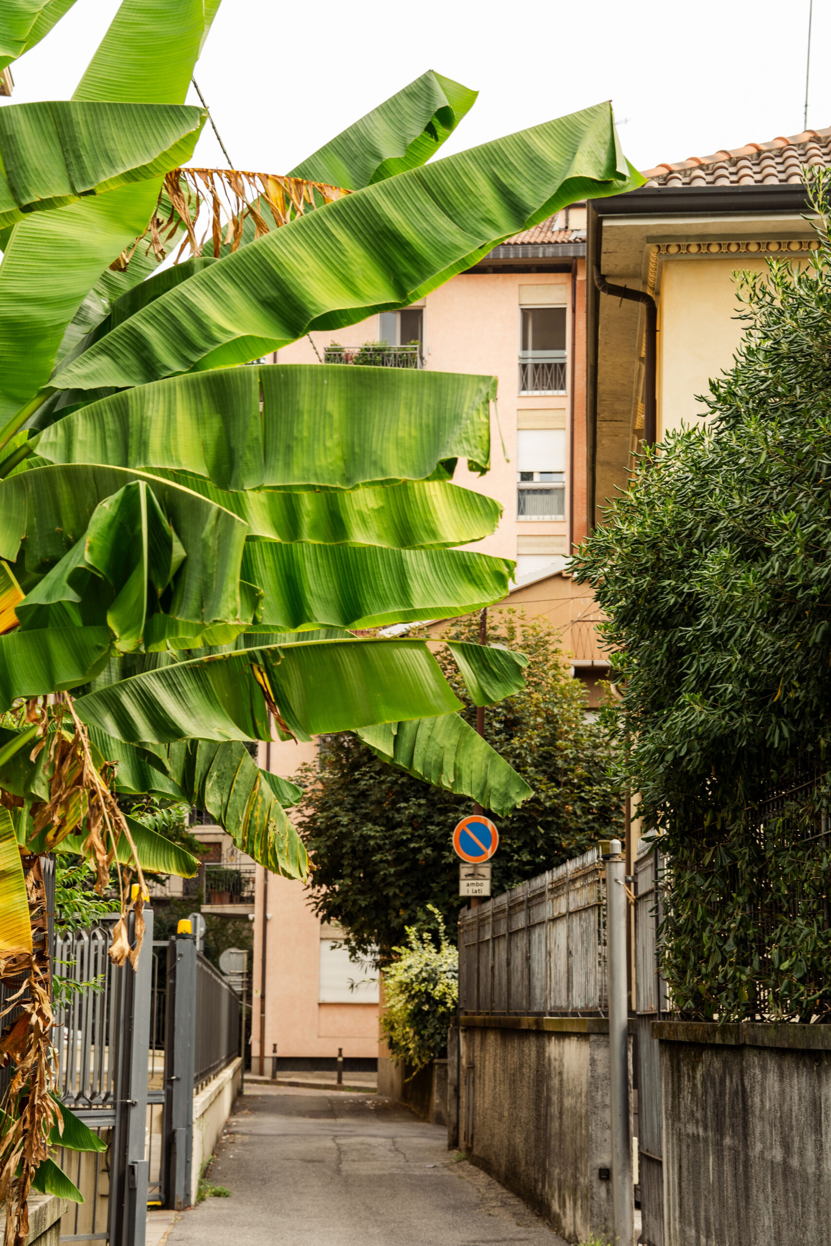 W drodze do Città Alta, Bergamo (https://travelandeatpasta.com)